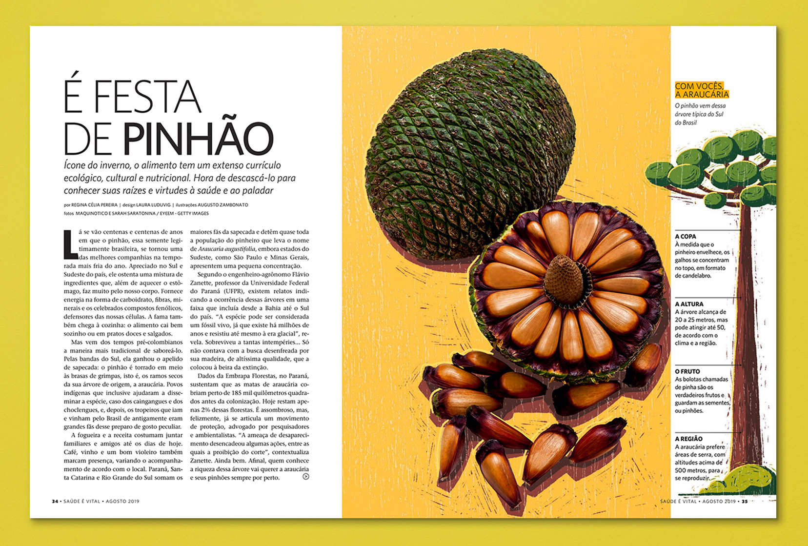 magazine page with article about pine-nuts